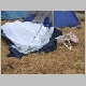 DSCF3836.JPG