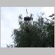 DSCF3841.JPG