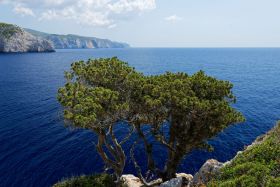 Griechenland Zakynthos 2019 September 42