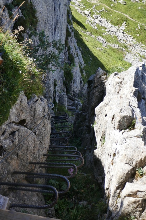 steig auf kleinen pal steig auf kleinen pal