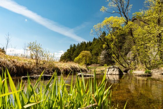 Ritterkamp im Frühling 2020-04-26