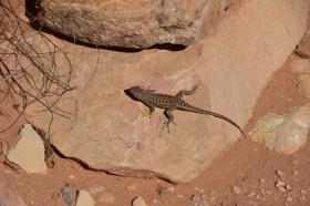 Canyonland_Nationalpark_02_big.jpg Canyonland_Nationalpark_02_big.jpg