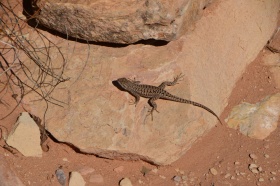 Canyonland_Nationalpark_02_big.jpg