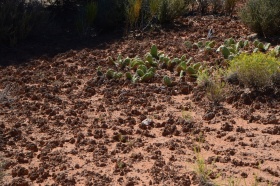 Canyonland_Nationalpark_09_big.jpg Canyonland_Nationalpark_09_big.jpg