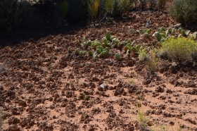 Canyonland_Nationalpark_09_big.jpg