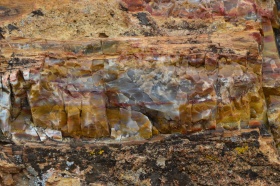 Escalante_Petrified_Forrest_02_big.jpg Escalante_Petrified_Forrest_02_big.jpg