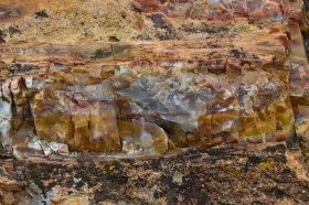 Escalante_Petrified_Forrest_02_big.jpg