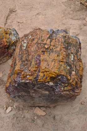 Escalante_Petrified_Forrest_07_big.jpg Escalante_Petrified_Forrest_07_big.jpg
