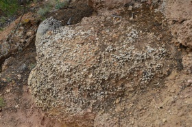 Escalante_Petrified_Forrest_08_big.jpg Escalante_Petrified_Forrest_08_big.jpg