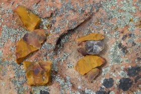 Escalante_Petrified_Forrest_12_big.jpg Escalante_Petrified_Forrest_12_big.jpg