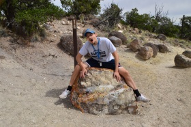 Escalante_Petrified_Forrest_15_big.jpg Escalante_Petrified_Forrest_15_big.jpg