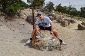 Escalante_Petrified_Forrest_15_big.jpg