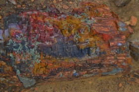 Escalante_Petrified_Forrest_HDR_00_big.jpg Escalante_Petrified_Forrest_HDR_00_big.jpg