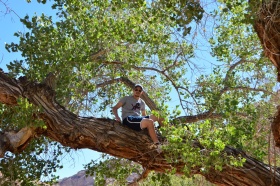 Little_Wild_Horse_Canyon_10_big.jpg Little_Wild_Horse_Canyon_10_big.jpg