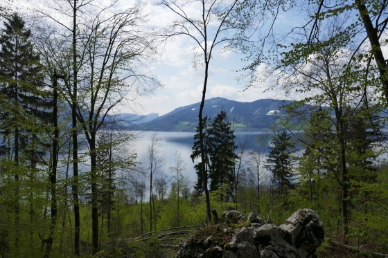 attersee im frühling attersee im frühling