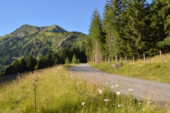 auffahrt auf sölkpass 