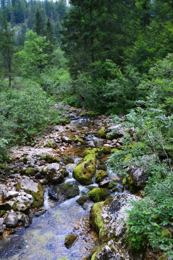 bach oberhalb vom wasserfall 