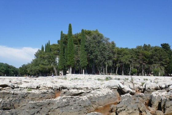 bäume strand umag 