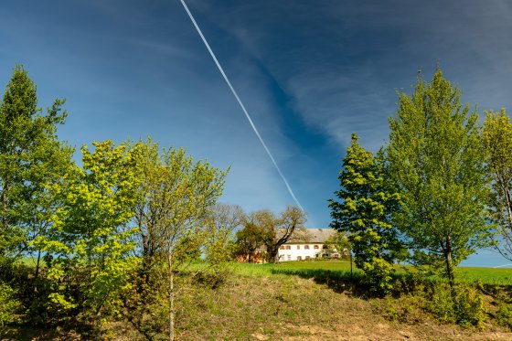 baürnhaus frühling 2020-04-26 baürnhaus frühling 2020-04-26