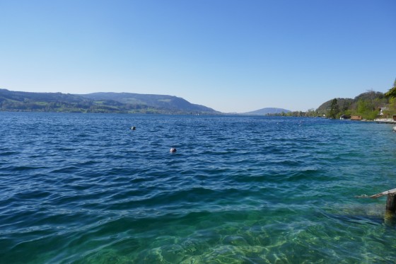 beim schwimmen beim schwimmen