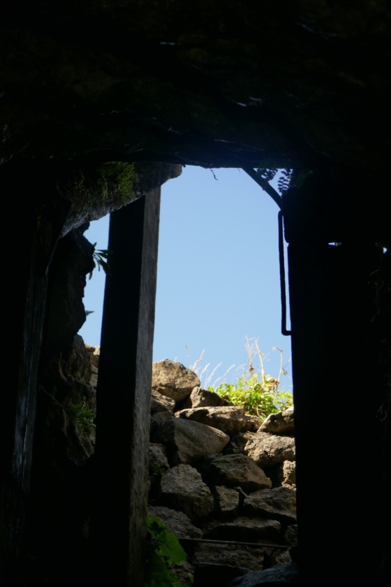 blick nach draussen blick nach draussen