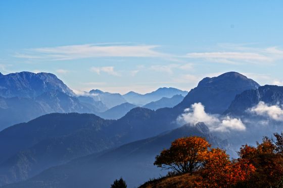 blick vom monte zoncolan 