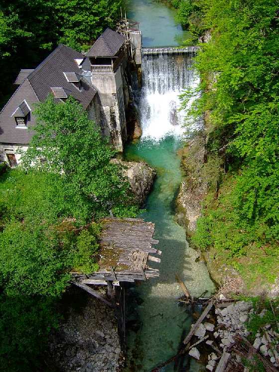 Picture