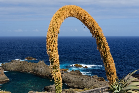 carcho del viento 2020-03-02 carcho del viento 2020-03-02