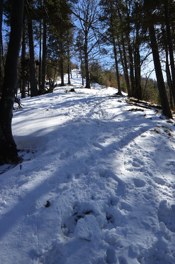 der weg zum unterberg 