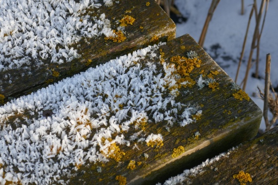 eiskristalle flechten bretter eiskristalle flechten bretter