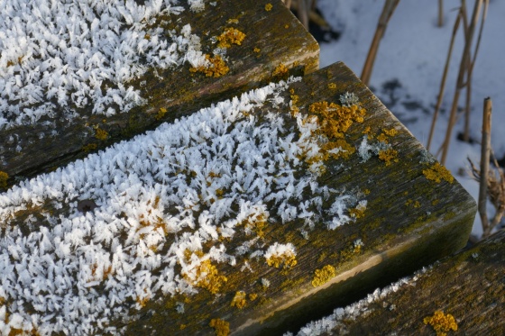 eiskristalle flechten bretter 