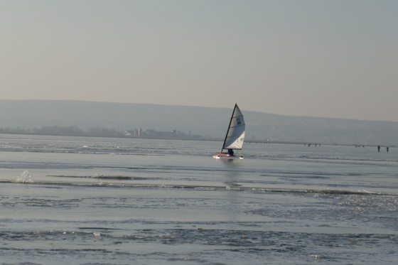 eissegler neusiedlersee 