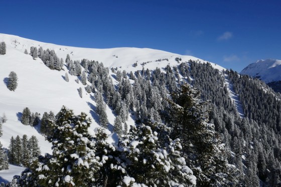 frisch verschneiter wald königsleiten 