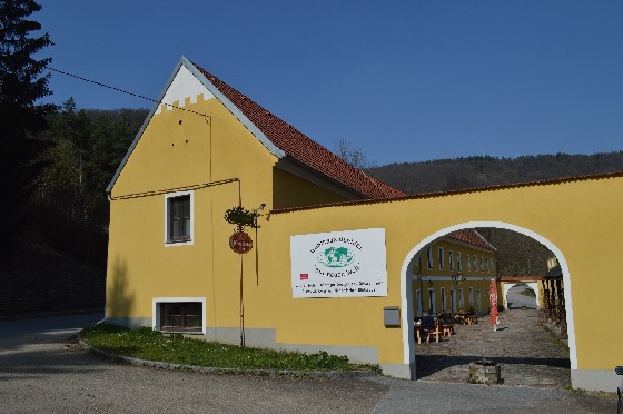 gasthaus dunkler steinegg 