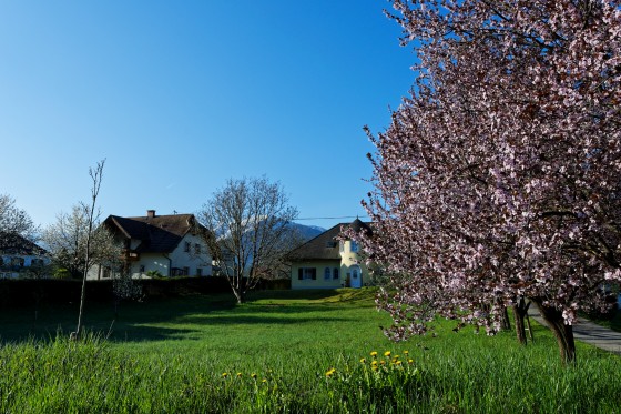 italien reise 2019 ostern 2019-04-19-22 03 italien reise 2019 ostern 2019-04-19-22 03