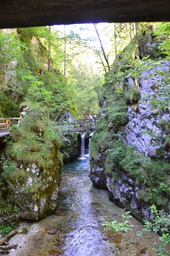 klamm bach mit wasserfall 