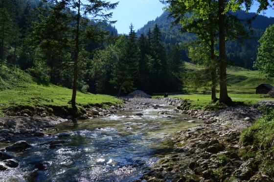 kühler bach in weitenau 