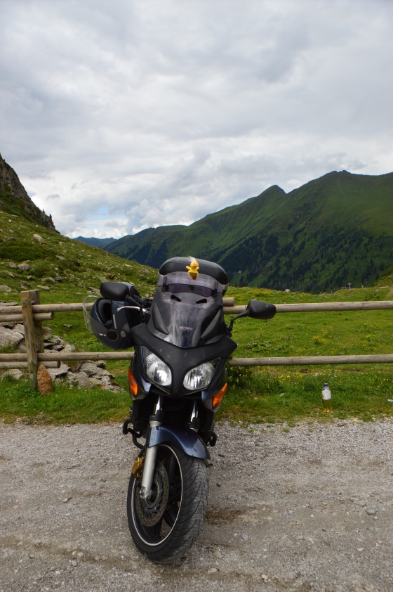 mausente auf motorrad mausente auf motorrad