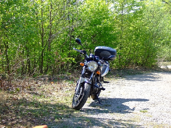Picture