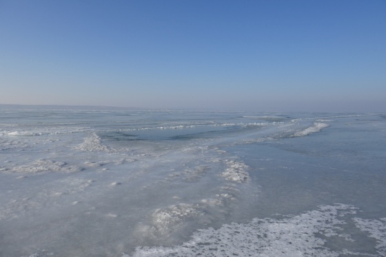 neusiedlersee gefroren perfektes wetter 