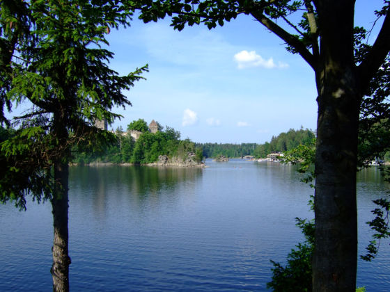 Picture
