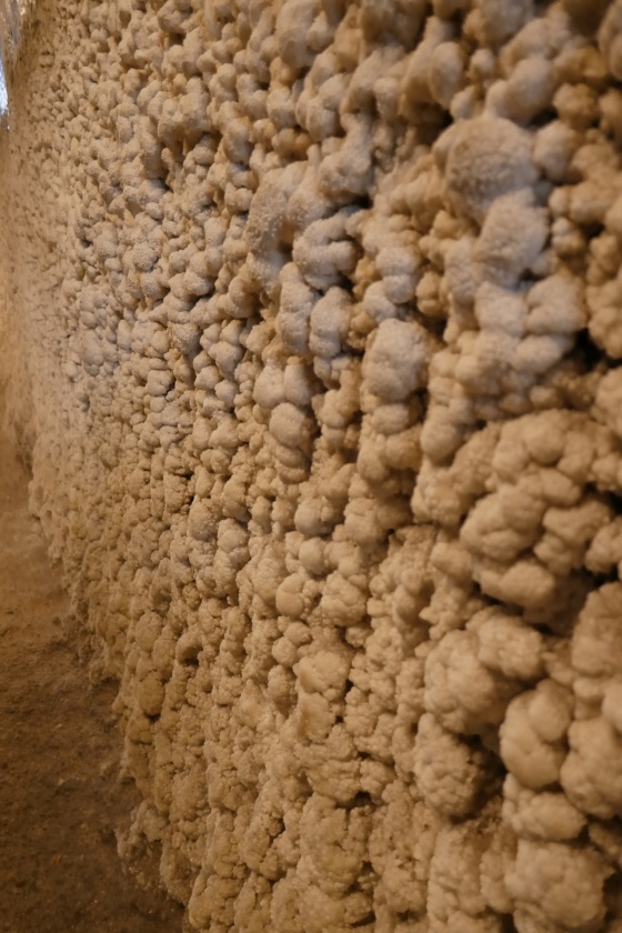 salzkruste salzmine turda rumänien salzkruste salzmine turda rumänien