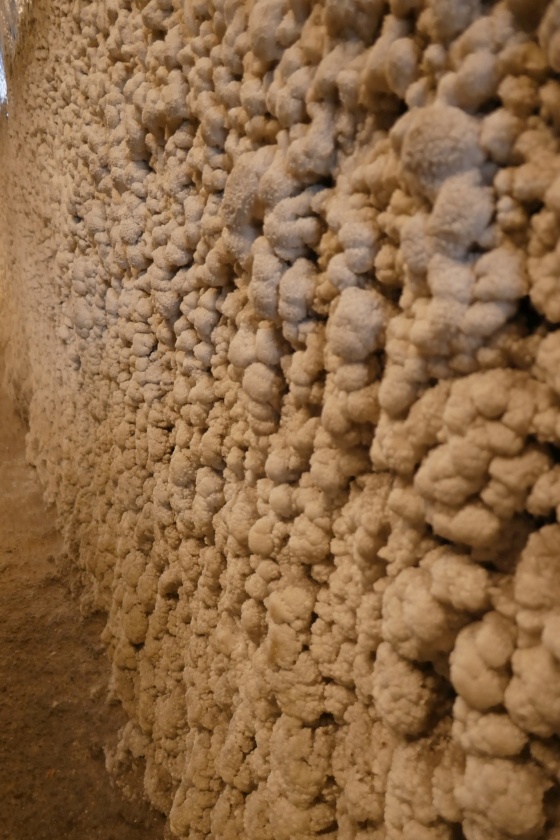 salzkruste salzmine turda rumänien 