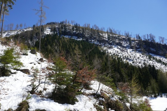 schneelandschaft am leonsberg schneelandschaft am leonsberg