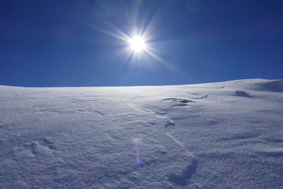 sonne glitzernder schnee königsleiten 