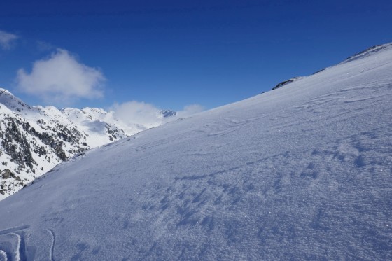 spuren im glitzernden schnee 