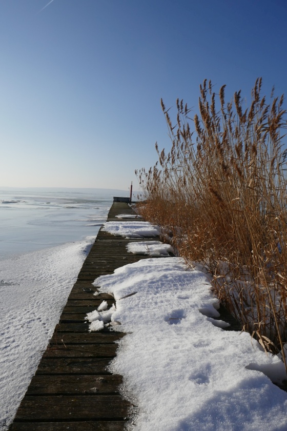 steg schnee schilf neusiedlersee 