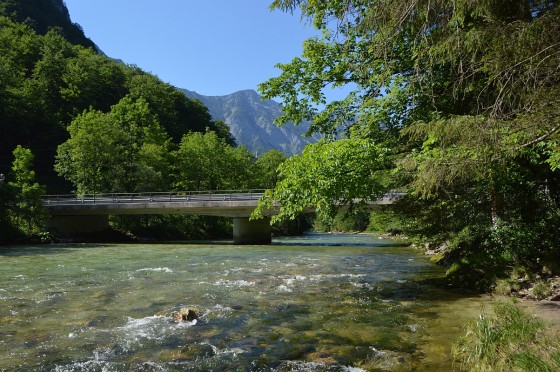 traun bei obertraun koppenrast 