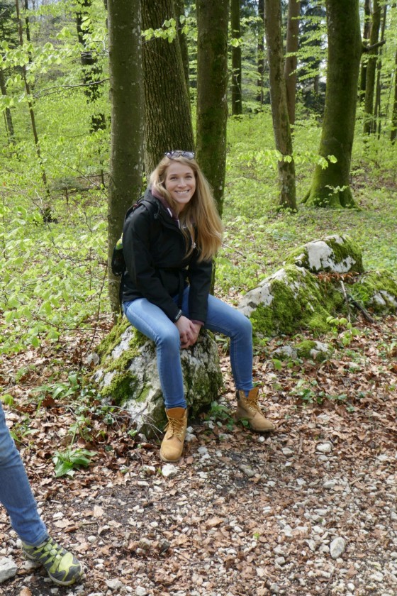 unser wald modell unser wald modell