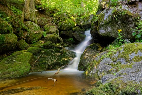 wasserfall yspertalklamm 2020-06-30